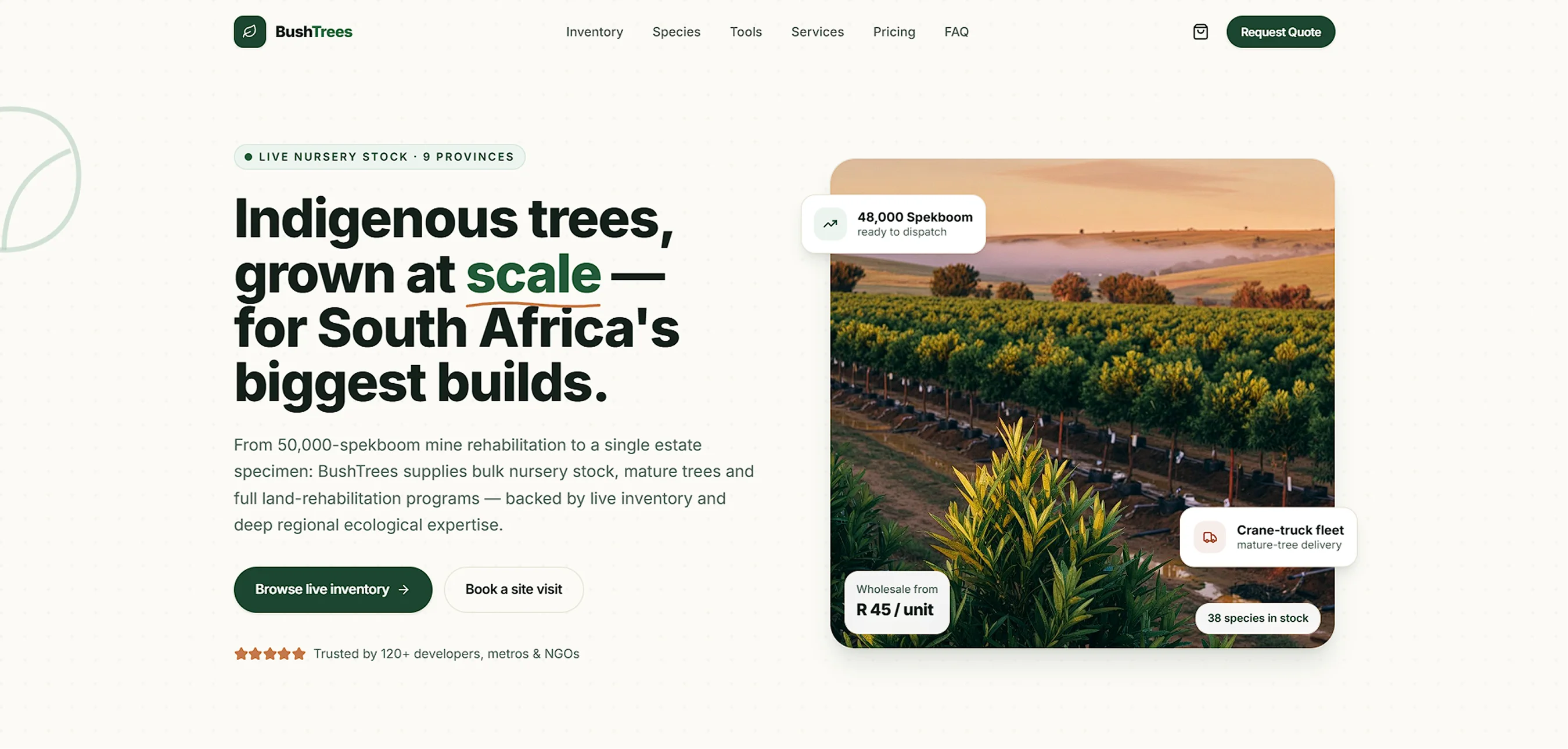 BushTrees — Indigenous Tree Nursery & Land Development website designed by MTJ Digital
