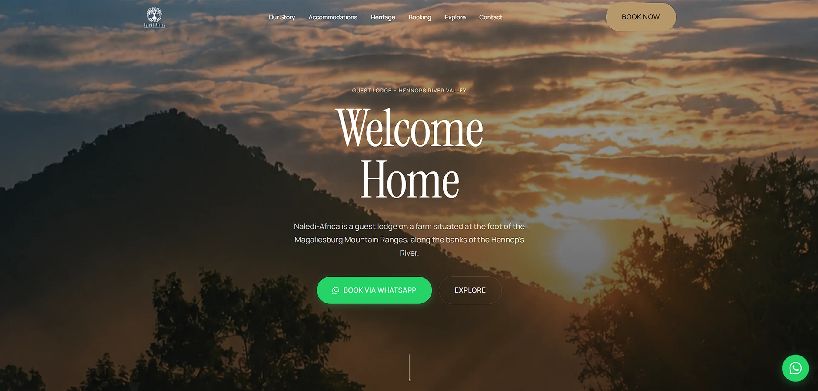 Naledi Africa — Guest Lodge website designed by MTJ Digital
